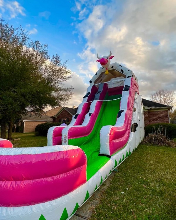 Moo Moo Water Slides